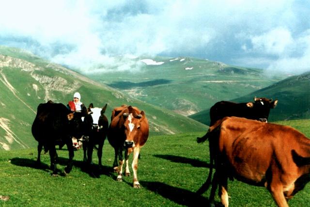 Yayla hayat [Ayhan Sahinturk]